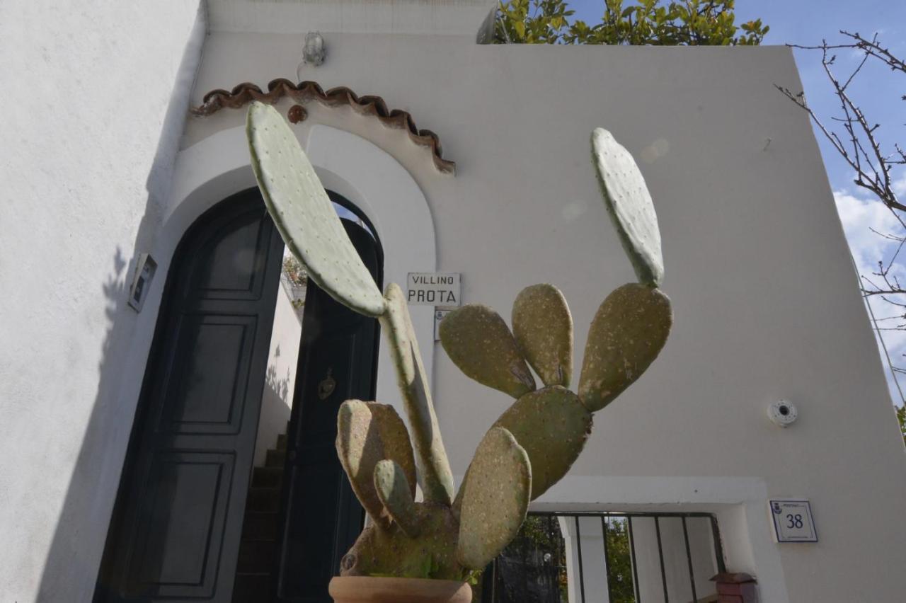 Villino Prota, Villa Ridente Con Panorama Mozzafiato Positano Exterior photo